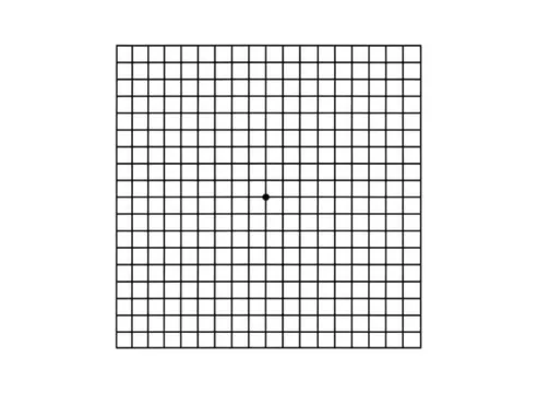 Amsler Test Oogkliniek Zeeland Zelf Een Test Doen