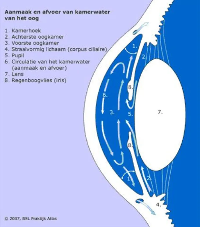 Glaucoom Symptomen Oogkliniek Zeeland