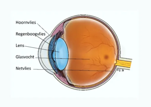 Oogkliniek Zeeland Netvliesloslating Folder Oogkliniek Zeeland