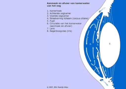Oogkliniek Zeeland Symptomen Glaucoom