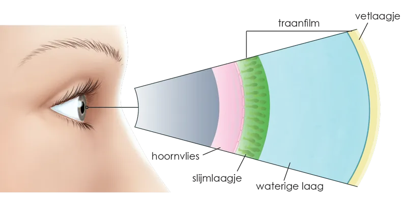 Oogkliniek Zeeland Folder Droge Ogen